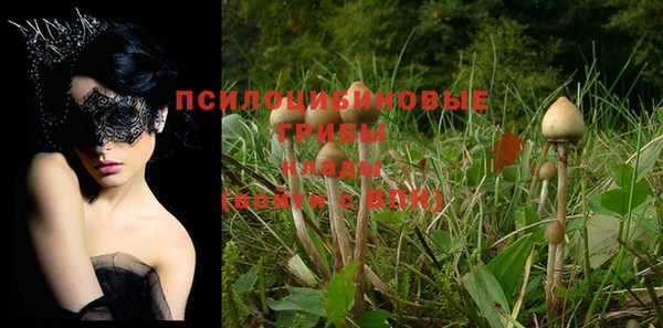 ALPHA PVP Богородск